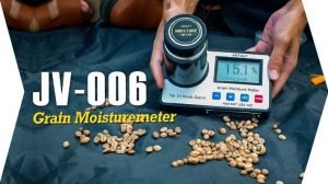 Cara Memilih Biji Kopi Berkualitas