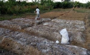 Cara Mengatasi Tanah Masam