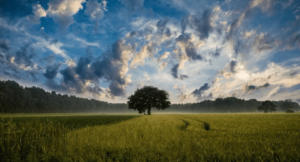 Manfaat Alat Pengukuran Cuaca untuk Prediksi Cuaca Lokal dalam Pertanian