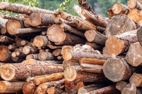 Memaksimalkan Penggunaan Kayu Ramah Lingkungan dengan Uji Strength Meter