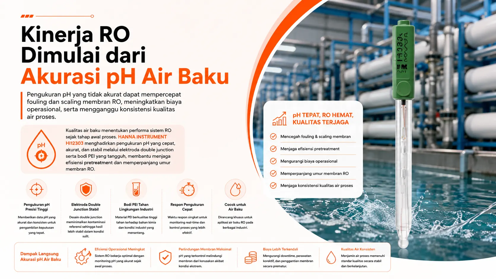 mengukur pH pada air baku menggunakan HANNA INSTRUMENT HI12303