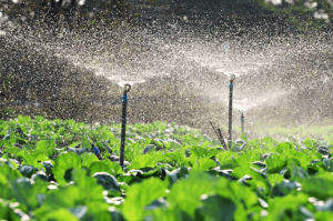 Penerapan TDS Meter dalam Pengelolaan Air Tanah untuk Pertanian yang Berkelanjutan