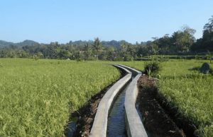 Penerapan TDS Meter dalam Pengelolaan Air Tanah untuk Pertanian yang Berkelanjutan