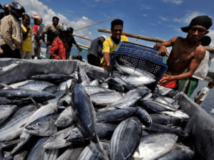 Pentingnya Fungsi Turbidity Meter dalam Pengawasan Kualitas Air