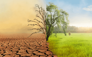 Perubahan Iklim Bagi Lingkungan