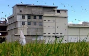 Suhu dan Kelembaban Ideal Rumah Walet