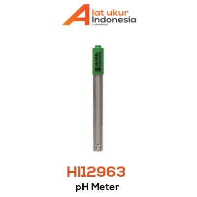 Alat Ukur pH HANNA INSTRUMENT HI12963 - elektroda titanium untuk pengukuran pH akurat
